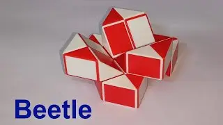 Make a Beetle 🐞 with Snake Cube