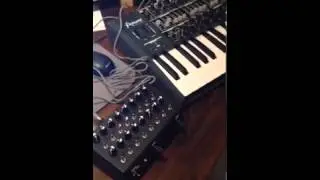 MiniBrute Filter Mod and the 16 Channel 16QSXA6M9 Sequencer