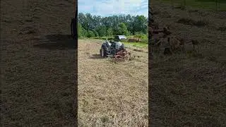 Andrew tedding our first crop hay!  #tedder #hay #ford4000 #hay