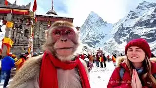 Monkesh bhai in Kedarnath