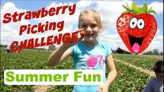 Strawberry Picking Challenge | Summer Fun