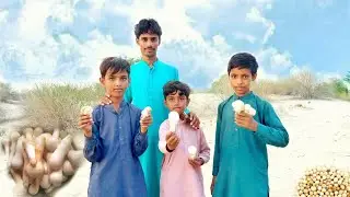 Thar Desert Mushroom |Mushrooms In Thar Desert | Khumnbhi |Thar Desert Village Life|Living In Desert