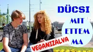 DÜCSI Mit ettem ma VEGANIZÁLVA! Vegán VS Nem Vegán Ételek