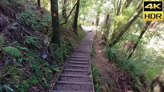 【4K HDR】Hiking In Hunua  Falls Trails Auckland New Zealand!