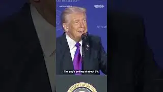 President Trump calls Rep. Thomas Massie 'a moron'