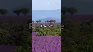 Discover France in 45 Seconds #travel #france