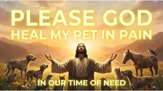 Prayer for Pets in Pain | God&rsquo;s Peace and Strength | His Ever-Present