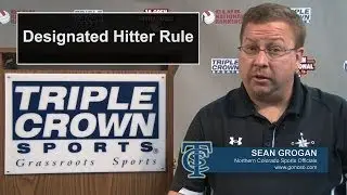 Designated Hitter