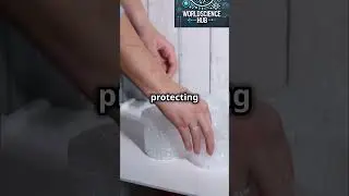 How Bubble Wrap Protects Fragile Items! 🛡️✨ #WorldScienceHub
