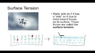 Chemistry Explained: Viscosity, Surface Tension, Adhesion, Cohesion, Capillary Action