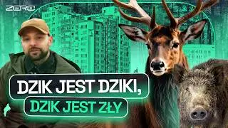JELEŃ NA KRUPÓWKACH, KUNA POD MASKĄ - CO DZIKIE ZWIERZĘTA ROBIĄ W MIEŚCIE? | GATUNEK ZERO #45