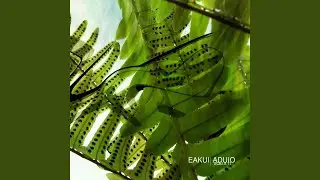 Estir
