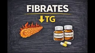 Fibrates Made Simple | How They Lower Triglycerides & Prevent Pancreatitis  | Pharmacology pt.2
