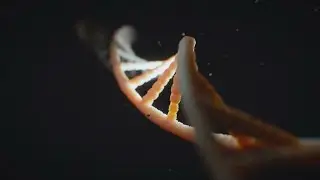 DNA: New home for world's data? &bull; FRANCE 24 English
