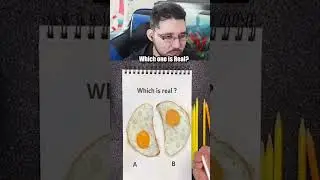 Which Egg is Real?