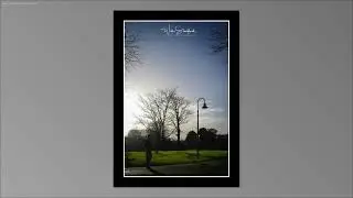 Winter sun Botanic gardens Dublin