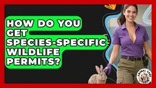 How Do You Get Species-specific Wildlife Permits? - Animal Care Jobs