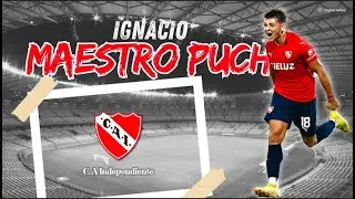 Ignacio Maestro Puch I Compacto 2024
