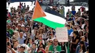 France 'bans pro-Palestinian rallies' as tensions increasingly mirror Israel-Gaza animosity