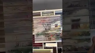 ZEBRA BLINDS WINDOW CURTAIN CUSTOM PRINT