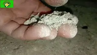 Potasyum nitrat o&ccedil;ağına gittik sonuşlar m&uuml;kemmel