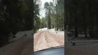 Caravan spots in Estonia #camper #caravan #nature #estonia #winter