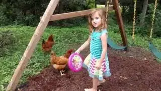 Making friends with the neighbors