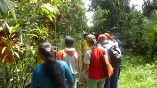 Mancing mania ikan sapan di hulu sungai Bemban katingan