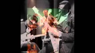 Albert King  ~ ''Lonesome'' ( Modern Electric Chicago Blues 1974 )