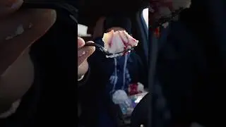 Один из моих любимых чизкейков из Cheesecake Factory.