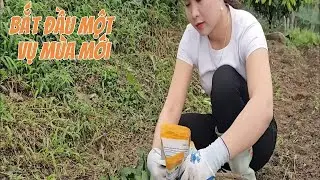 Gieo Giống Chuẩn Bị Mùa Vụ Trồng Rau Mới | Cuộc Sống Gần Gũi Thiên Nhiên