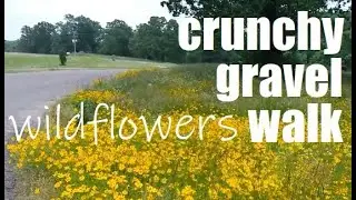 Wildflowers CRUNCHY GRAVEL WALK | 🌼 ASMR
