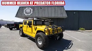 HUMMER HEAVEN AT PREDATOR FLORIDA