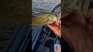 👆🏻v&iacute;deo completo #fishingbloggers #vlogfishing #fishingbloggers #videospescando