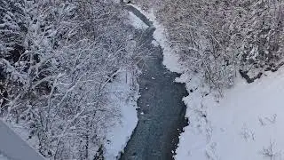 Serene Winter Stream | The Path to Shirahige Waterfall