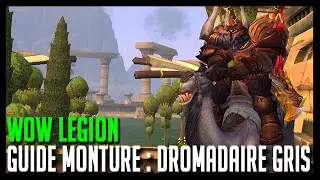 Wow Legion - Guide Monture Rare : Dromadaire Gris - Hoos Gaming