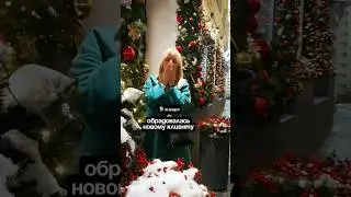 ЮРИСТ ПАВЛОВА собирается на работу. Мы? #music #humor #юмор #юристпавлова #law #суд #reelsinstagram