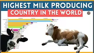 Highest milk producing country in world | Top Milk producing country