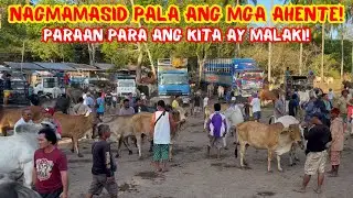 NAGMAMASID PALA ANG MGA AHENTE! PARAAN PARA ANG KITA AY MALAKI! | BACONG | SOLLE'S GANDANG BUHAY