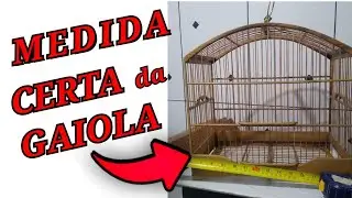 MEDIDA DA GAIOLA DE COLEIRO PAPA CAPIM  2021