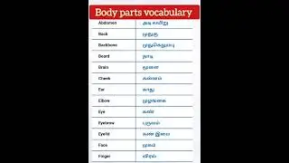 Body parts vocabulary |உடல் உறுப்புகள்
