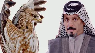 ابو شاكر هلج طيبين - ولك لاله ردح - جديد  07816240301