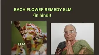 BACH FLOWER REMEDY ELM( in hindi )