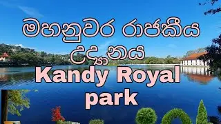 මහනුවර රාජකීය උද්&zwj;යානය,kandy royal park