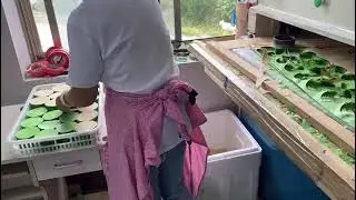 cupcake production ① semi-automatic paper punching machine for low gsm