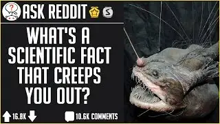 CREEPIEST Facts To Ruin Your Day (r/AskReddit)