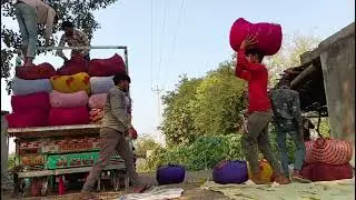 Agriculture farming Tu harvesting video22, 2026