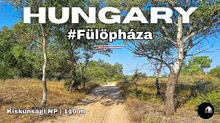 Hungary 🇭🇺 #Fülöpháza env. | Kiskunság National Park | LOCALITY
