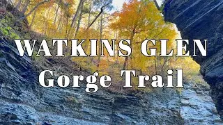 Watkins Glen Gorge Hike + Driving the Legendary Watkins Glen Racetrack | Buzzin&rsquo; Along