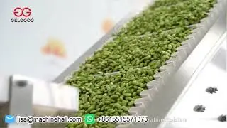 Fish Patties Frying Production Line|Fish Finger Frying Machine